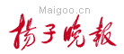 扬子晚报