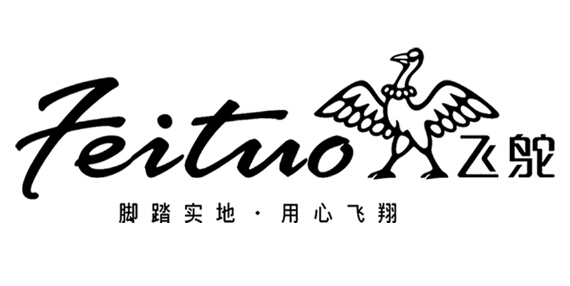 飞鸵