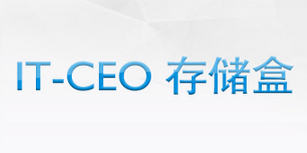IT-CEO