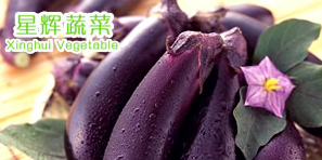 星辉蔬菜