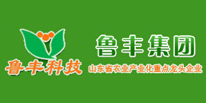 鲁丰食品