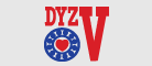 大冶轴DYZV