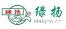 绿扬