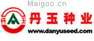 丹玉