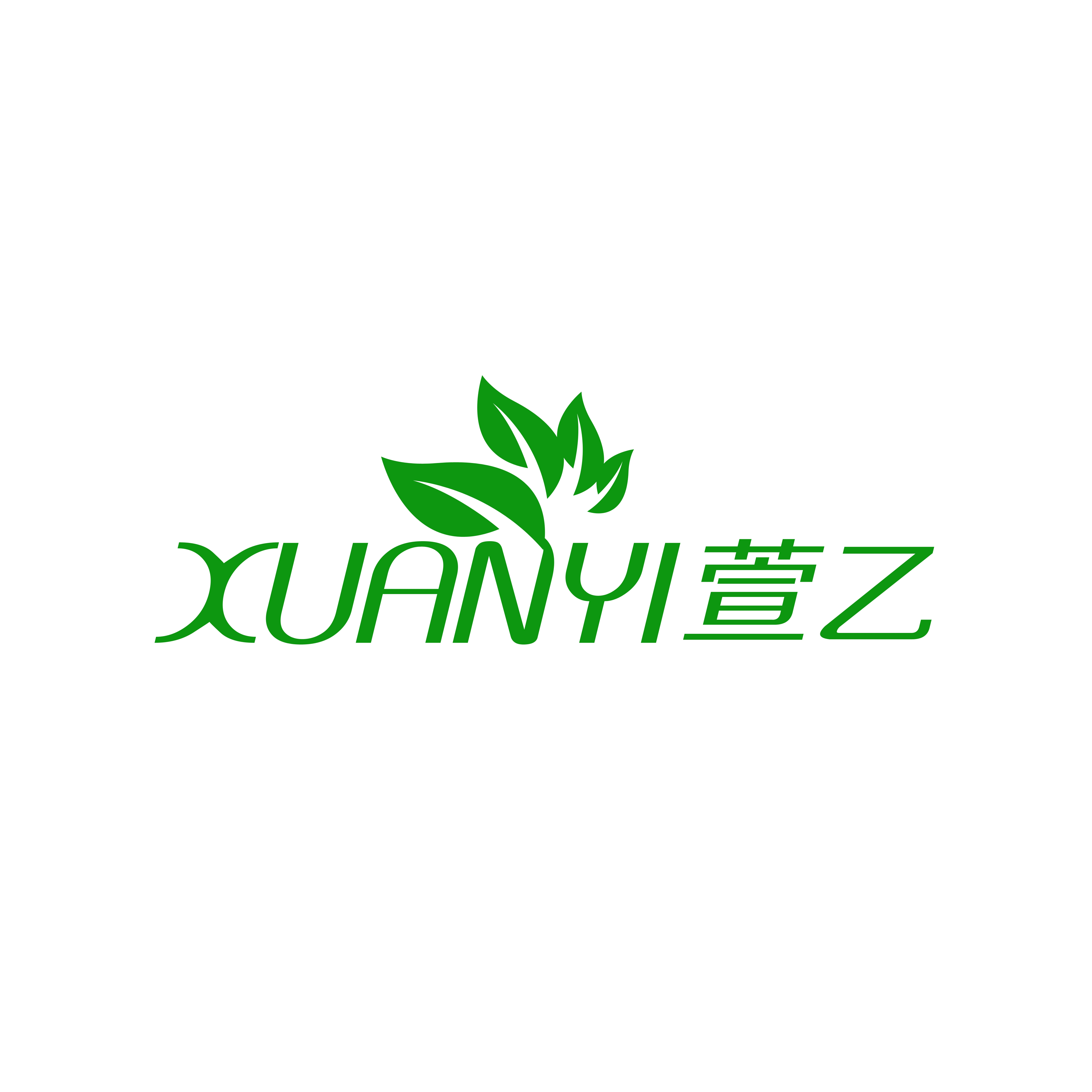 萱乙本草
