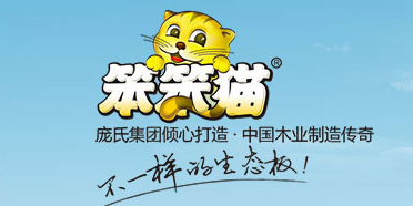 笨笨猫