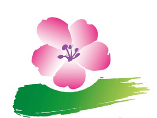 妍雅芙