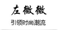 左微微