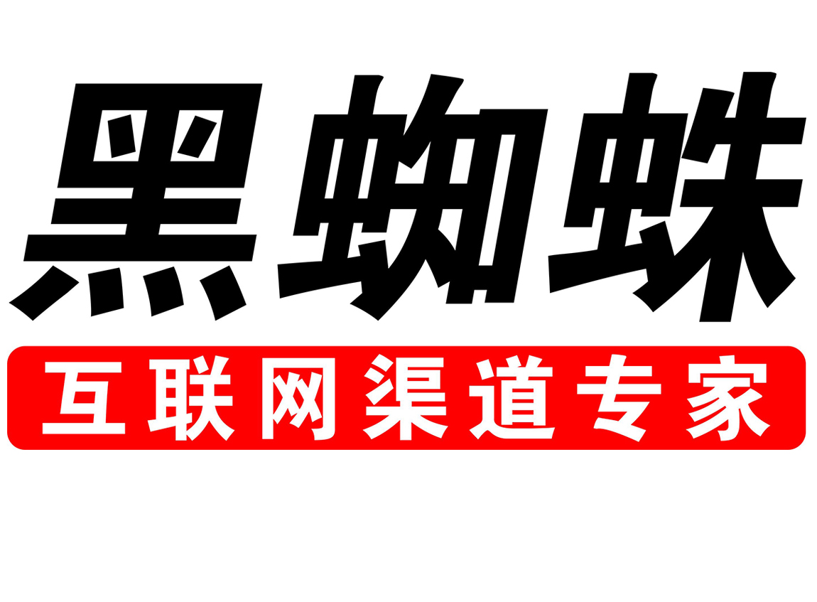 黑蜘蛛互联网渠道专家
