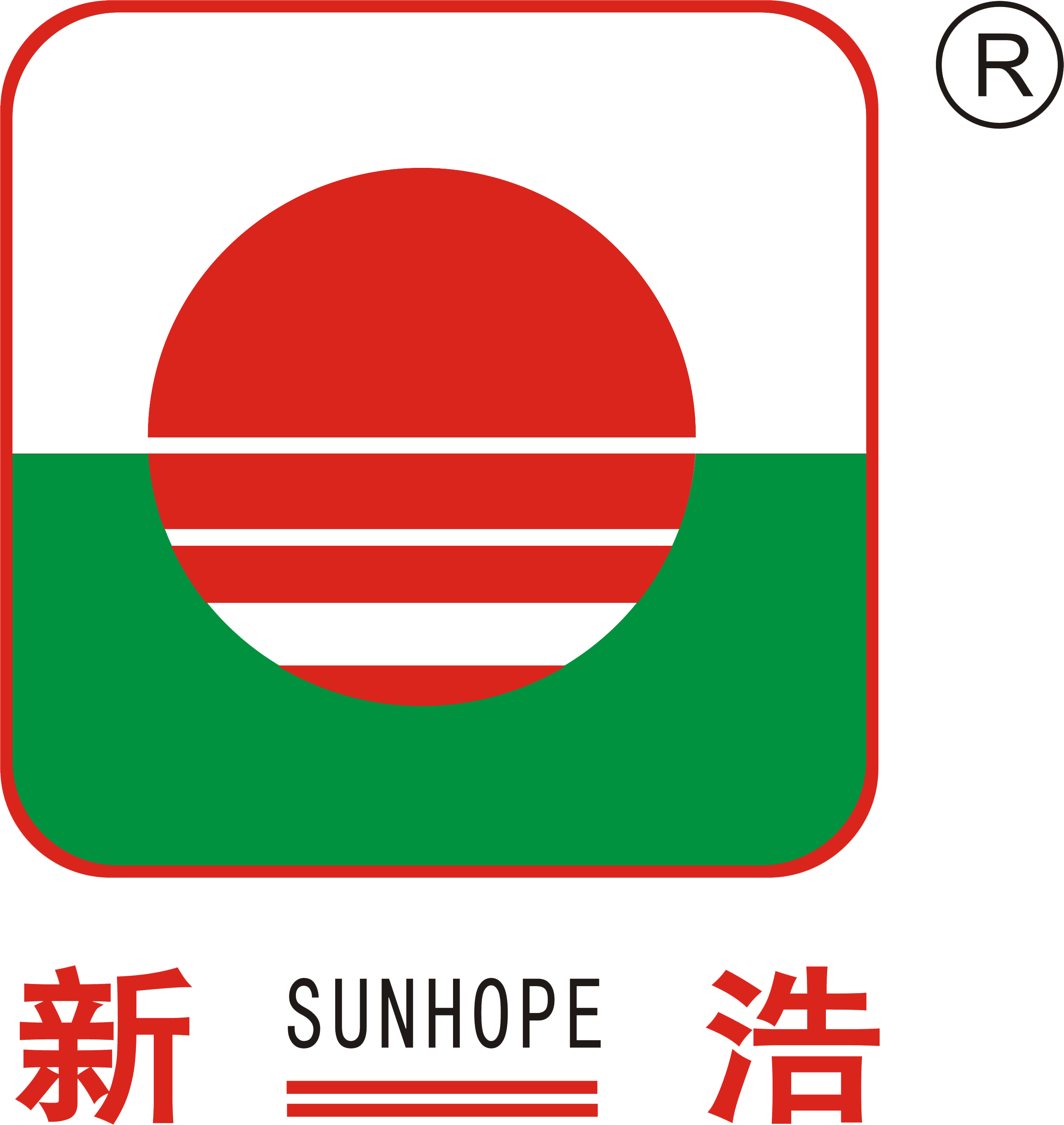 新浩