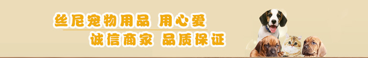 丝尼