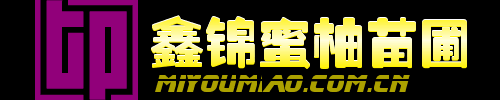 鑫锦