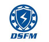 DSFM
