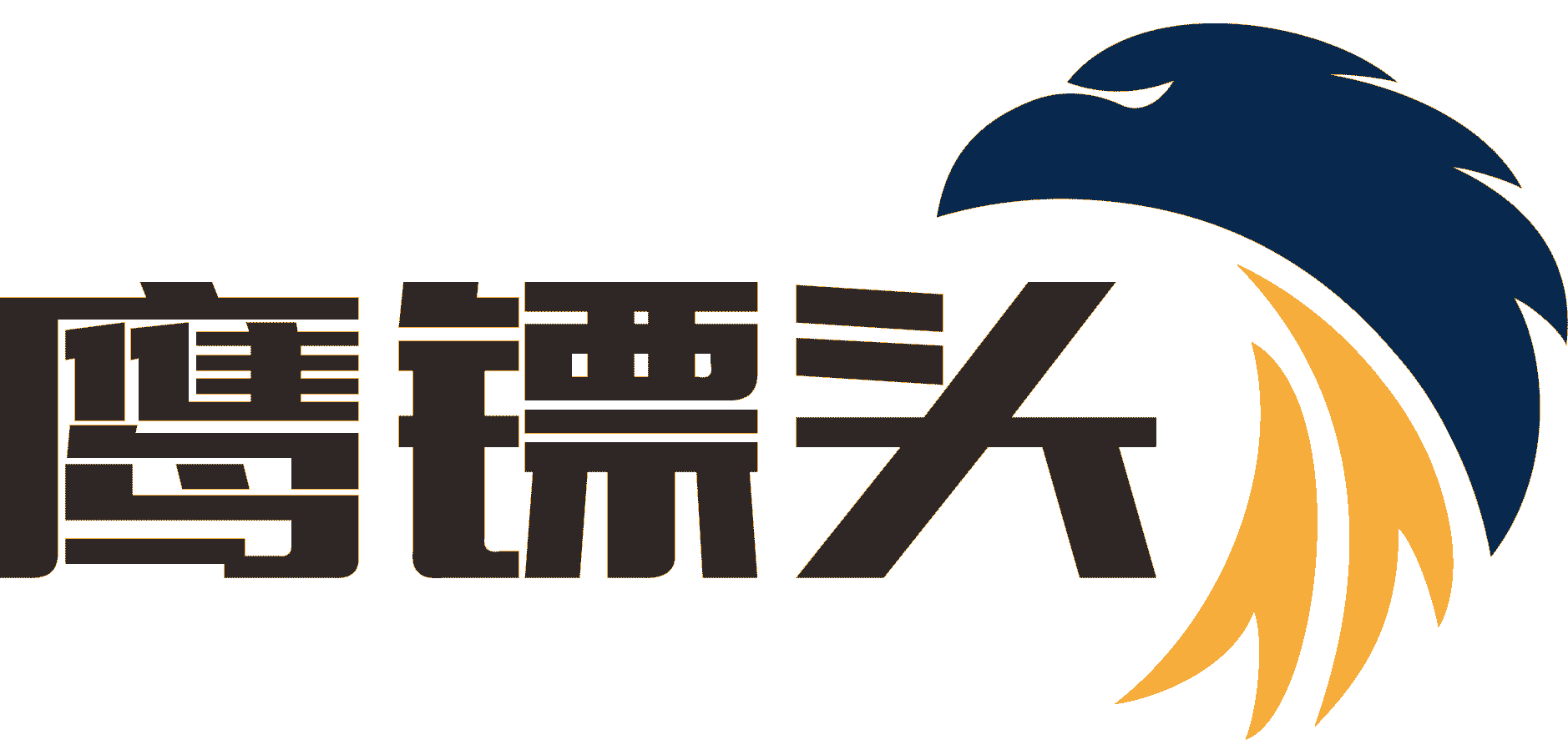 鹰镖头