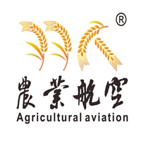 谷上飞