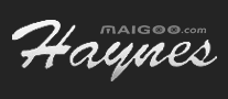 汉斯Haynes