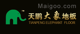天鹏大象
