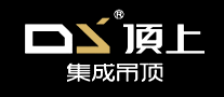 顶上DS