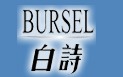 白诗