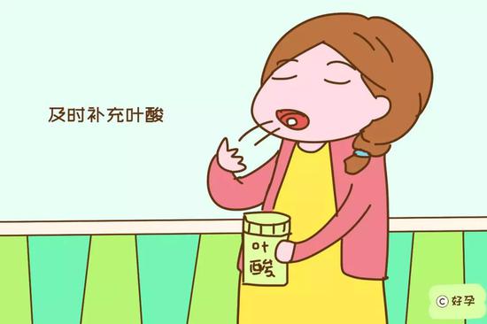 及时补充叶酸