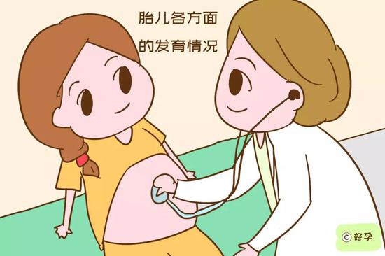 胎儿是否入盆？胎位是否正？胎儿各方面的发育情况